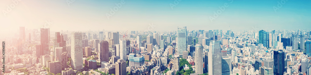 panoramic view to the Tokyo, Japan from air. Cityscape with many modern business buildings