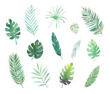 Watercolor tropical leaves set. Hand drawn illustration. Isolated image