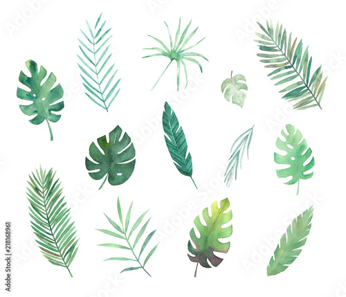 Watercolor tropical leaves set. Hand drawn illustration. Isolated image