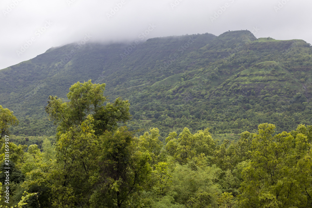 greenery from pune during monsoon, india, forest, beauty, hill, mountain