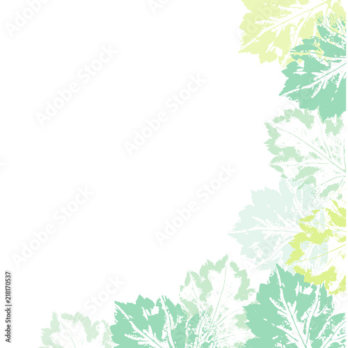 Banner template with corner decoration element made of natural leaf prints, vector illustration isolated on white background. Banner decorated with hand printed prints of spring summer leaves
