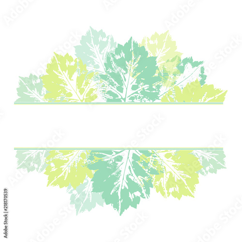 Banner template with top and bottom borders made of natural leaf prints, vector illustration isolated on white background. Banner, frame of hand printed grunge style prints of spring, summer leaves