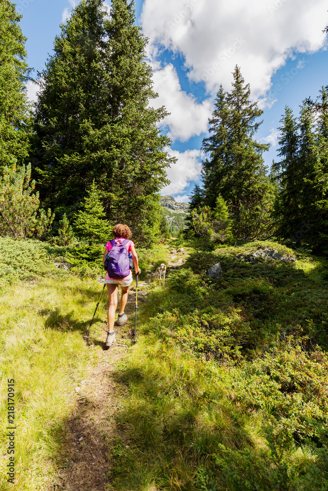 Naklejka premium Trekking in montagna con cane