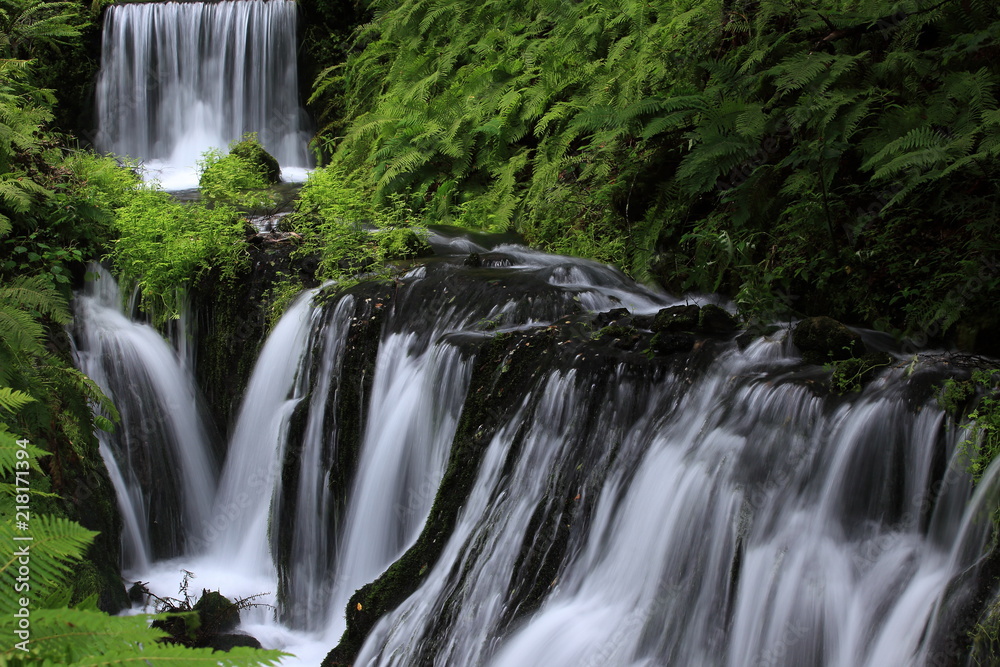 Obraz premium 白糸のような清流が流れ落ちる川