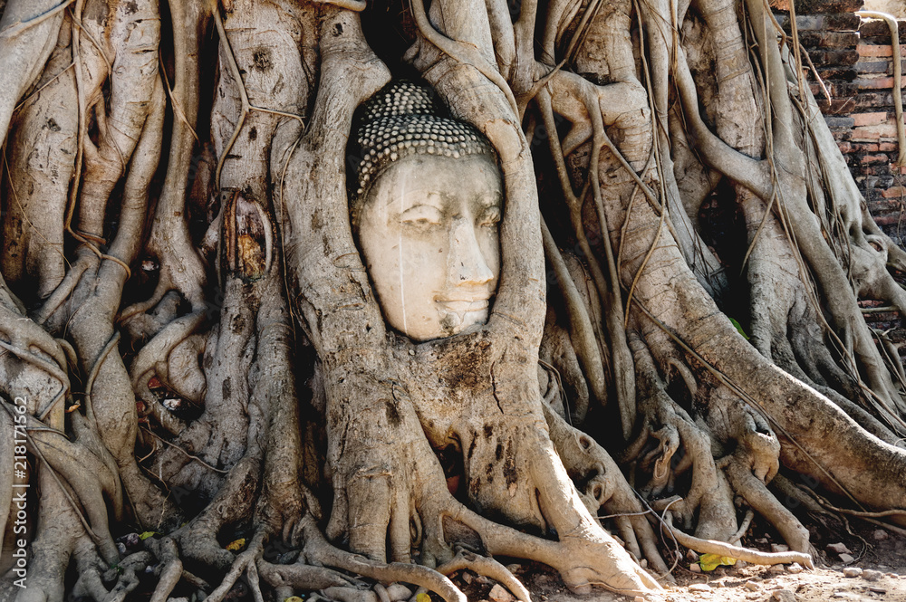 A stone head of Buddha in Wat Prha Mahathat Temple A stone head of Buddha in Wat Prha Mahathat Temple