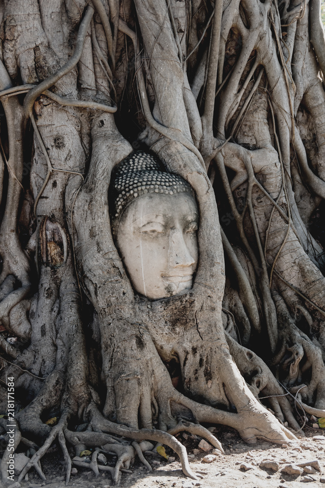 A stone head of Buddha in Wat Prha Mahathat Temple