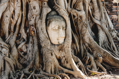 A stone head of Buddha in Wat Prha Mahathat Temple © gumbao