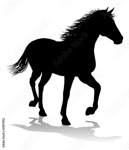 Horse Silhouette Animal
