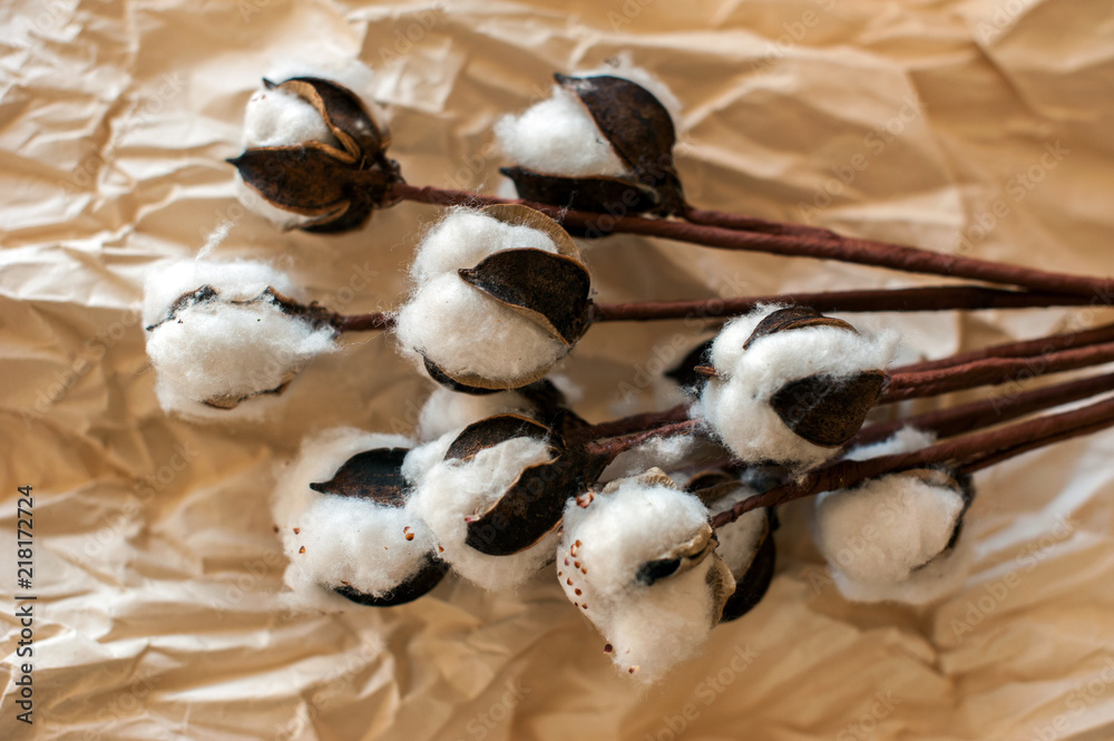 top view of Cotton flowers on paper