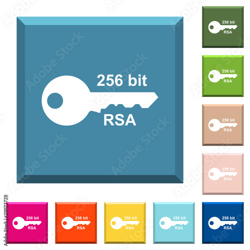 256 bit rsa encryption white icons on edged square buttons