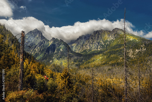 Fototapeta Naklejka Na Ścianę i Meble -  beautiful view on mountains in summer, national park high tatras, slovakia