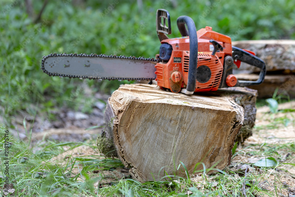 Professional chainsaw on a sawn tree in the forest