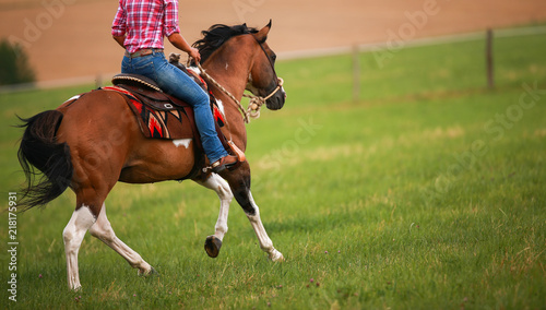 Slika na platnu Horse, western pony, gallopping with rider and western tress in a meadow