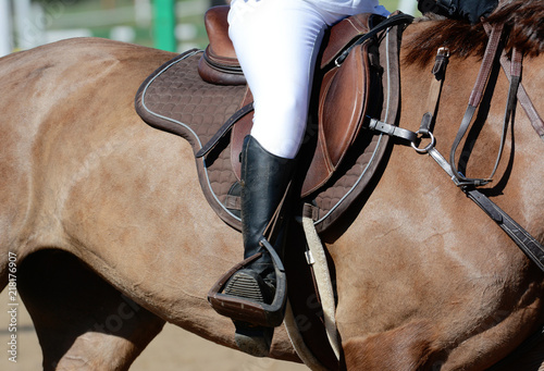 Equestrian sport in details. Sport horse and rider on gallop © geptays