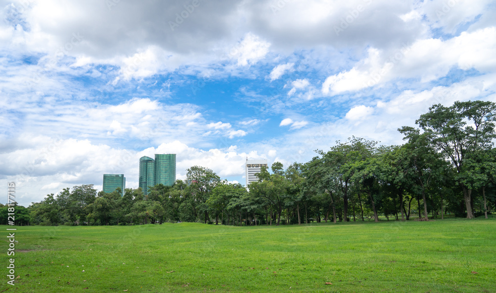 green park in city with cloudy blue sky