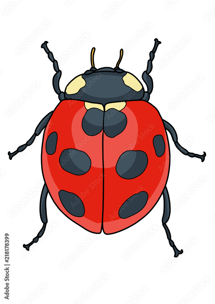 Fototapeta premium Ladybug illustration, doodle, cartoon, drawing, ink, line art, vector