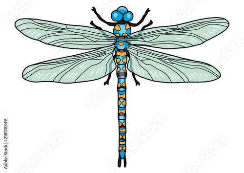 Dragonfly illustration, doodle, cartoon, drawing, ink, line art, vector