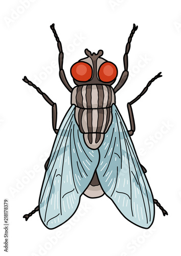 Fly illustration, doodle, cartoon, drawing, ink, line art, vector