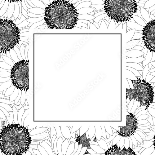 Fototapeta Naklejka Na Ścianę i Meble -  Sunflower Outline Banner Card