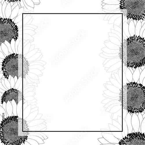 Fototapeta Naklejka Na Ścianę i Meble -  Sunflower Banner Card Border Outline