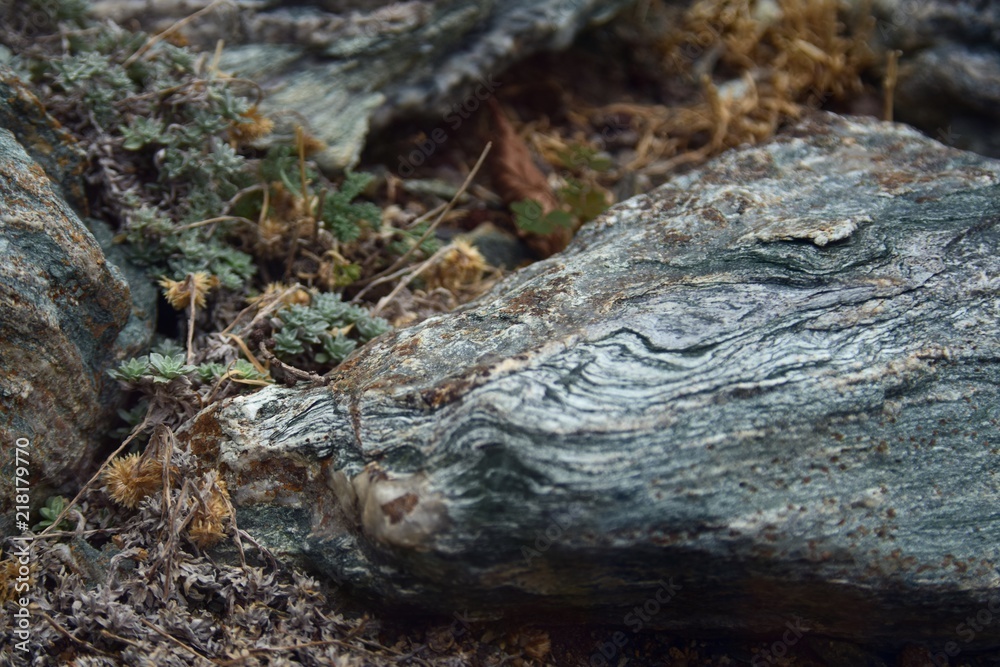 Natursteine mit interessanter Maserung und Färbung Natursteine mit interessanter Maserung und Färbung
