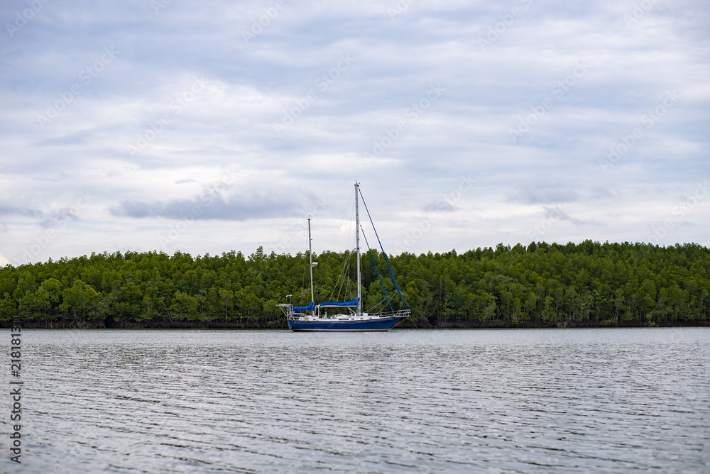 Cruise to the mangrove forest. Natural exploration Cruise to the mangrove forest. Natural exploration