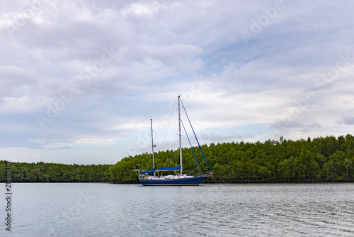 Cruise to the mangrove forest. Natural exploration