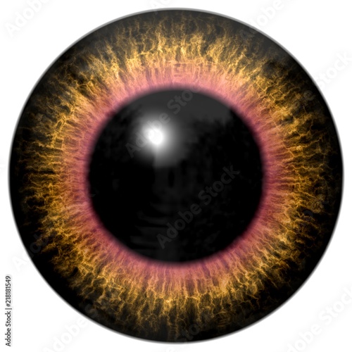 Brown yellow animal eye texture, red and black round, eyeball texture with white background