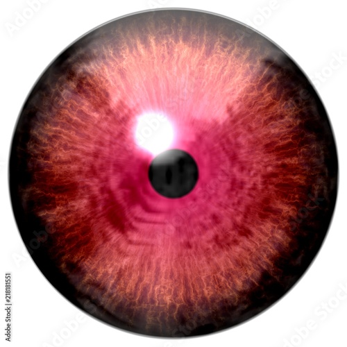 Animal red eyeball, frog eye texture, black round, texture with white background