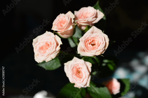 Lot of elegant yellow pink small roses with green leaves on a black background