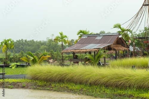 A wooden shack thatched straw and zinc of the rain flows into the well.