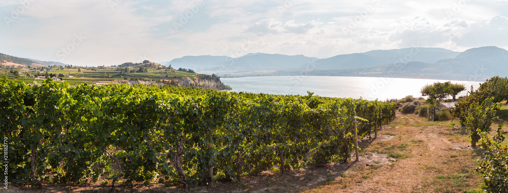 Naramata Bench winery with a view overlooking Okanagan Lake.