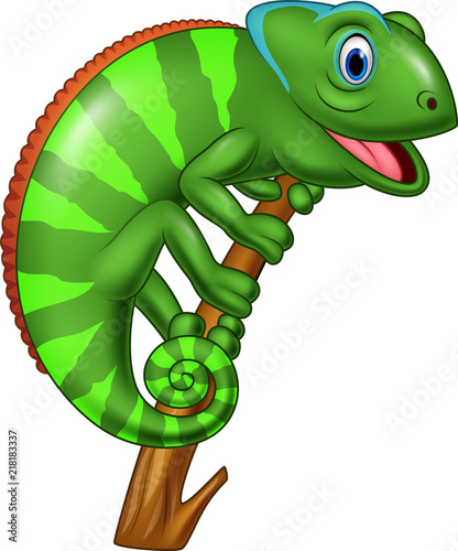 Cartoon chameleon on a branch