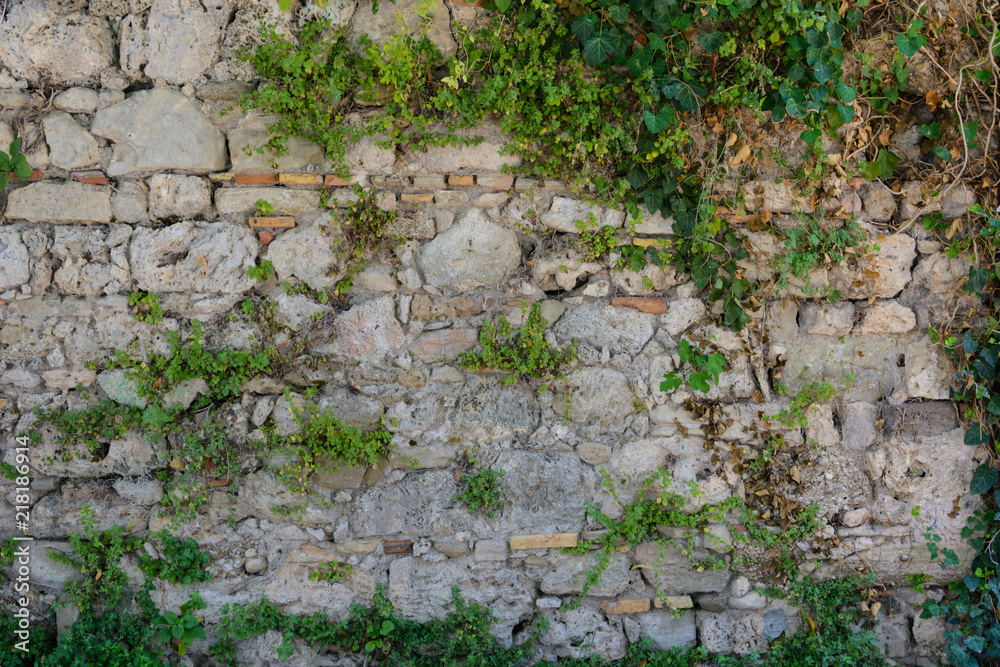 background wall of ancient buildings of natural stone overgrown with ivy and vines background wall of ancient buildings of natural stone overgrown with ivy and vines