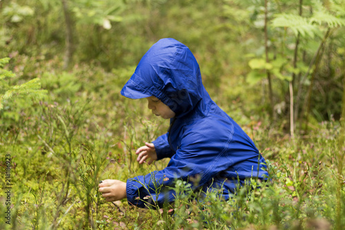 Toddler boy sitting in a forest eating bilberries or blueberries