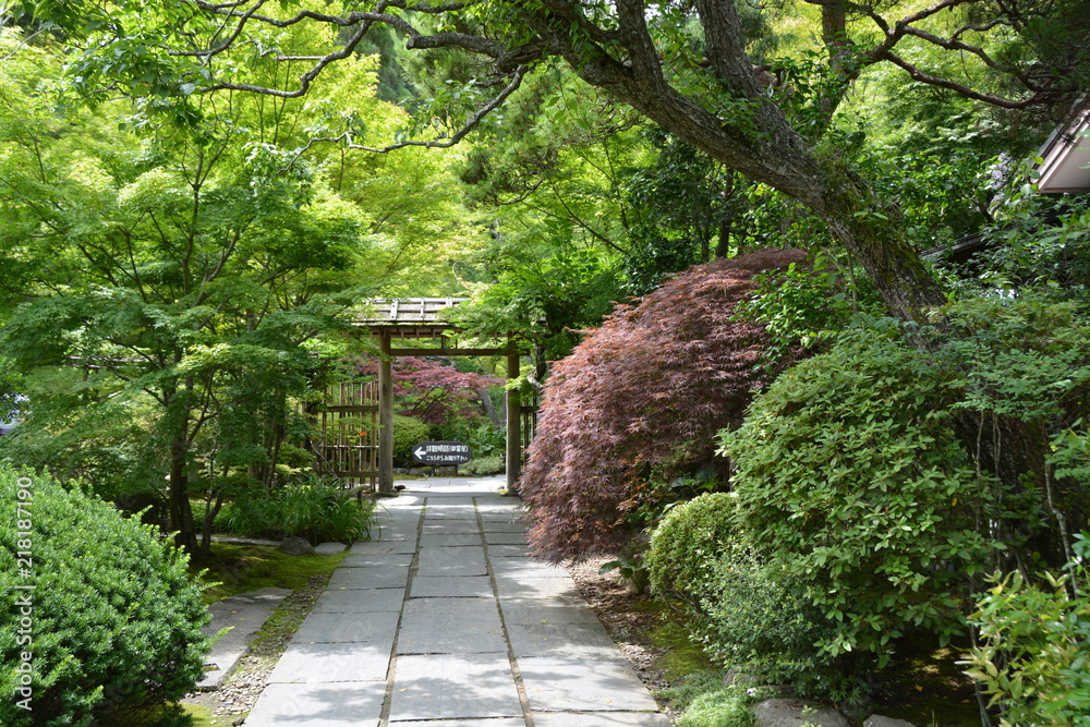 Fotografie 宮城県松島の円通寺