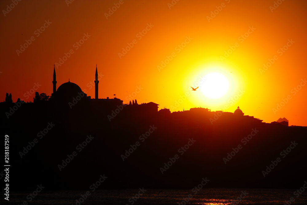 Sunset silhouette, seagulls and Hagia sophia at sunset, Istanbul, Turkey