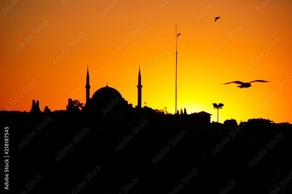 Sunset silhouette, seagulls and Hagia sophia at sunset, Istanbul, Turkey