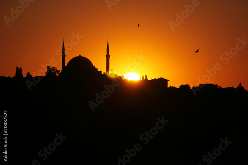 Sunset silhouette, seagulls and Hagia sophia at sunset, Istanbul, Turkey