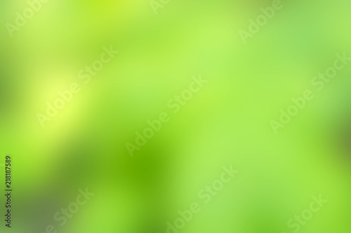 Blurred green background.