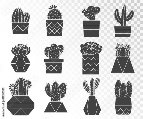 Vector set of cacti and succulents in flower pots. Collection of silhouettes.