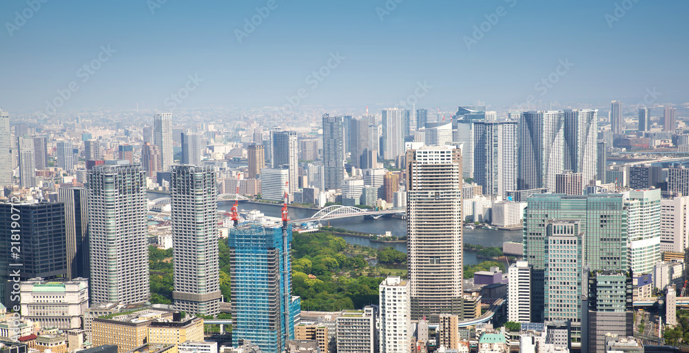 panoramic view to the Tokyo, Japan from air. Cityscape with many modern business buildings