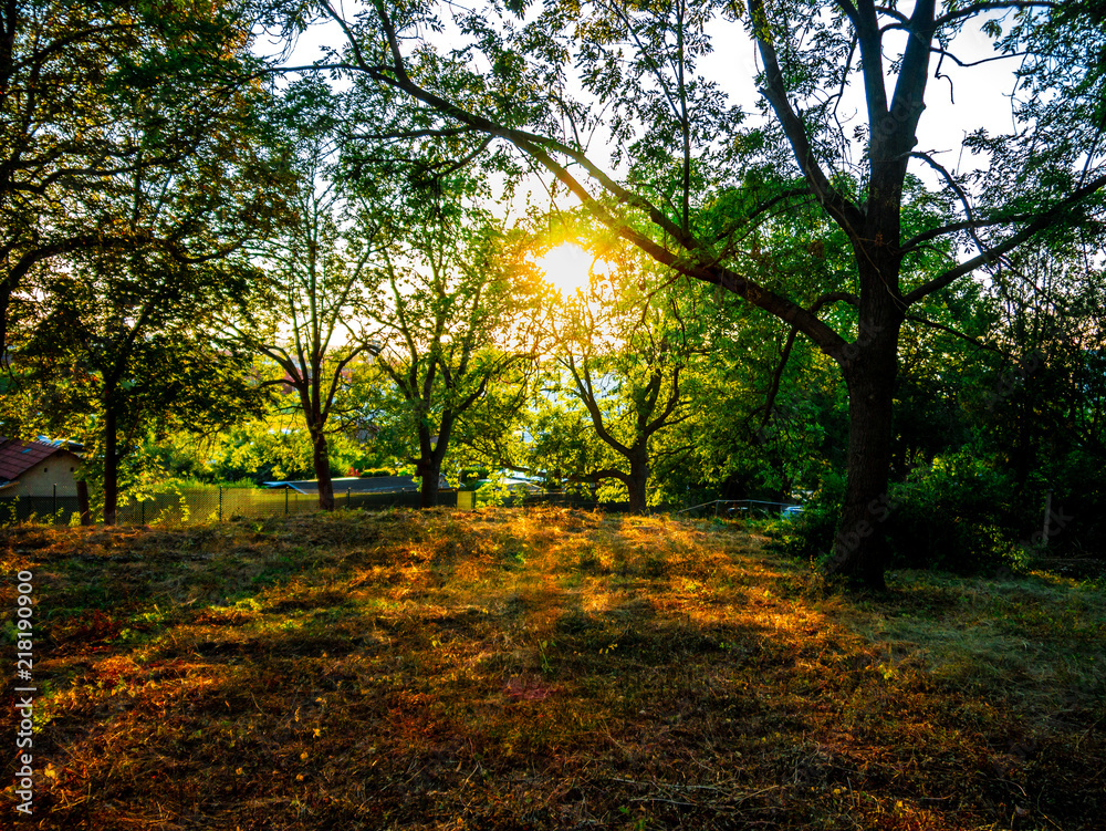 Obraz premium Die warme Sonne