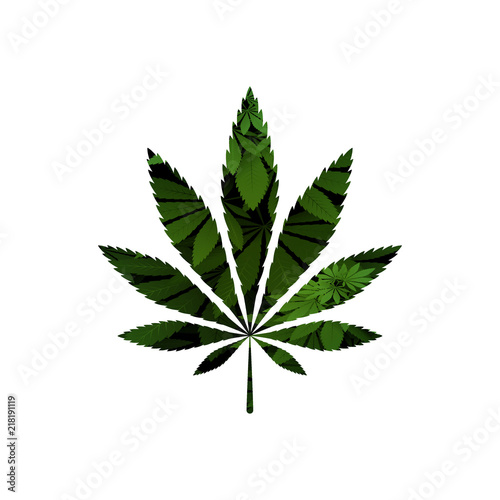 green cannabis leaf vector illustration