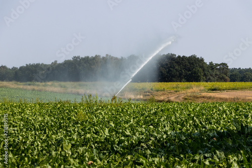 Bei Trockenheit zur Bewässerung von Feldern und Anpflanzungen eingesetzter Wasserwerfer
