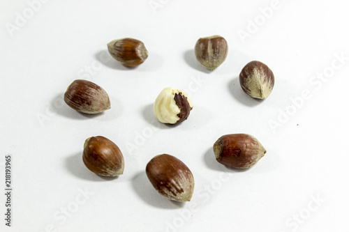 Wallpaper Mural Close-up shot of circular positioned hazelnuts with blurry white background Torontodigital.ca