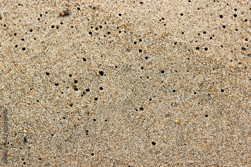 Light brown sand with water holes texture on the beach of Lake Baikal. Dotted beige sandy floor for summer vacation background with place for text Light brown sand with water holes texture on the beach of Lake Baikal. Dotted beige sandy floor for summer vacation background with place for text