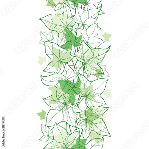 Vector vertical seamless pattern with outline Ivy or Hedera vines in pastel green on the white background. Floral pattern with ornate Ivy foliage in contour style for summer design.