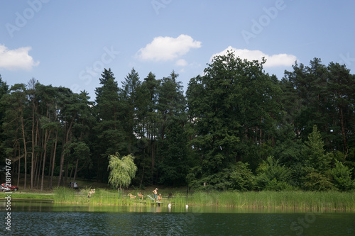 on the lake in summer in Osno Lubuskie in Poland