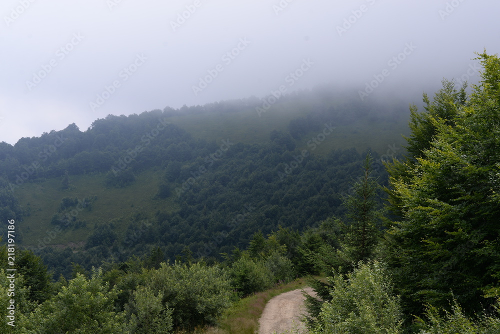 Summer Carpathian Mountains